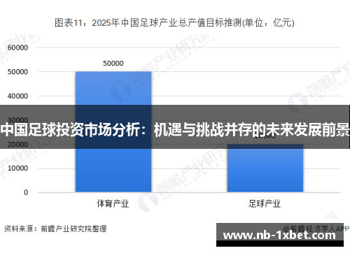 中国足球投资市场分析：机遇与挑战并存的未来发展前景