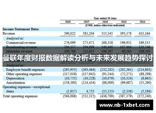 曼联年度财报数据解读分析与未来发展趋势探讨