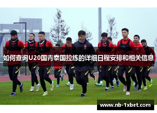 如何查询U20国青泰国拉练的详细日程安排和相关信息