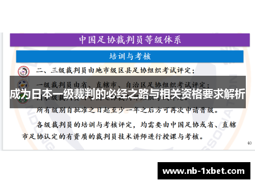 成为日本一级裁判的必经之路与相关资格要求解析