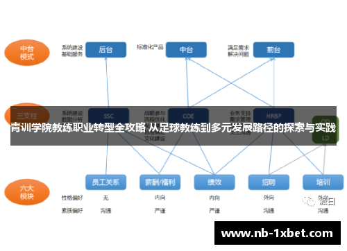 青训学院教练职业转型全攻略 从足球教练到多元发展路径的探索与实践