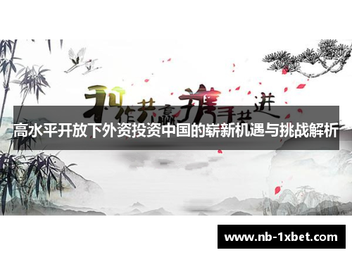 高水平开放下外资投资中国的崭新机遇与挑战解析