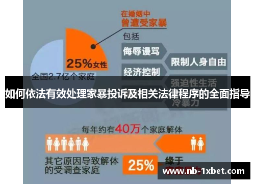 如何依法有效处理家暴投诉及相关法律程序的全面指导