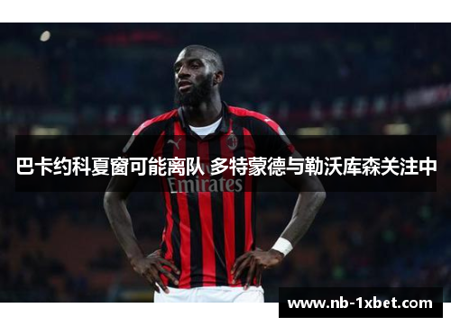 巴卡约科夏窗可能离队 多特蒙德与勒沃库森关注中