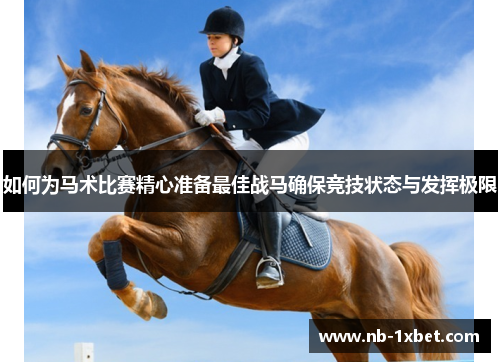 如何为马术比赛精心准备最佳战马确保竞技状态与发挥极限