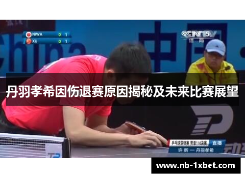 丹羽孝希因伤退赛原因揭秘及未来比赛展望